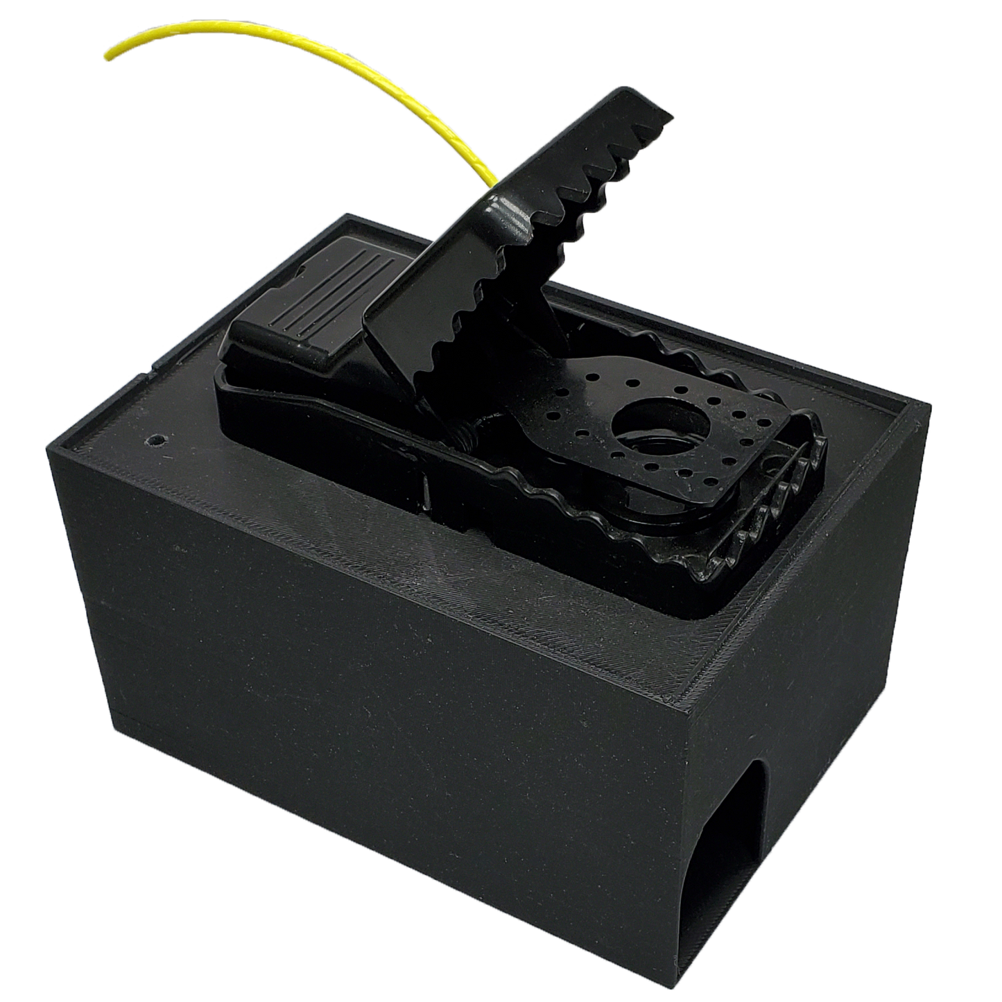 Mouse Trap & Box (4x)